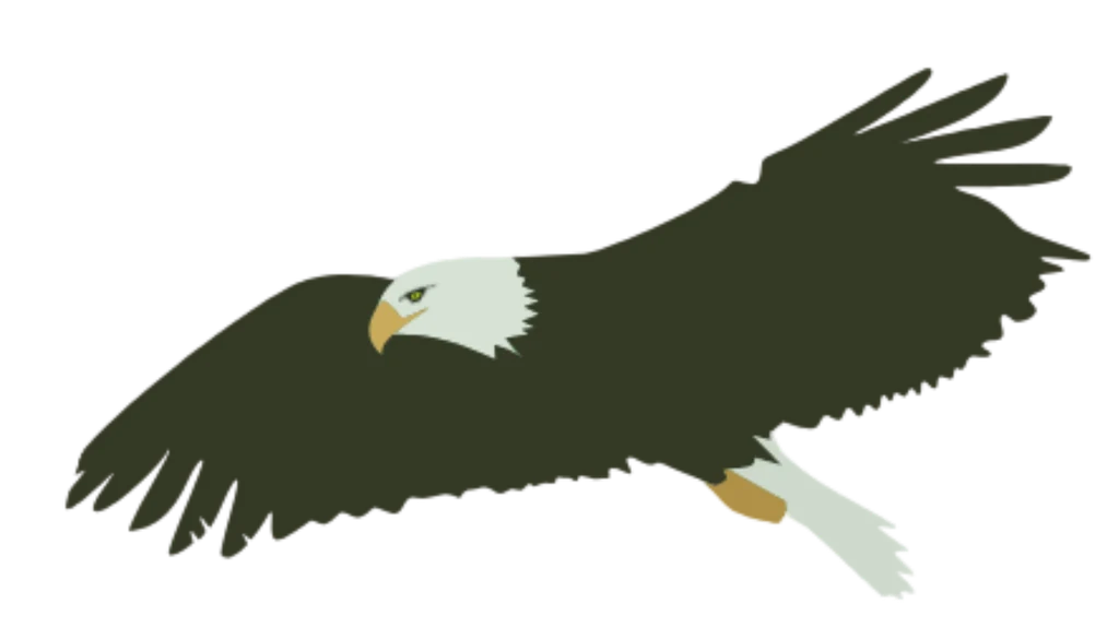 A bald eagle in flight, the bird from the Narrowsburg Electric logo.