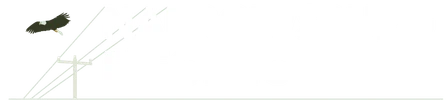 Narrowsburg Electric